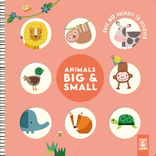 Animals Big & Small Over 60 Animals To Discover