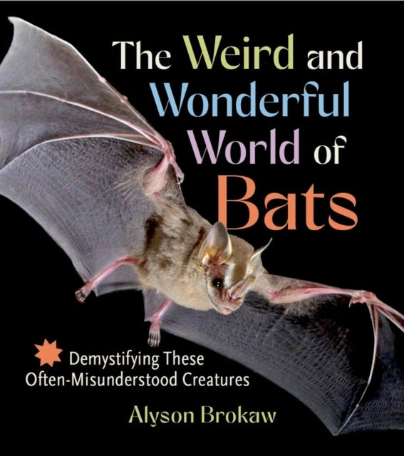 The Weird And Wonderful World Of Bats Demystifying These Oft