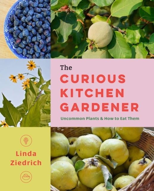 THE CURIOUS KITCHEN GARDENER UNCOMMON PLANTS AND HOW TO EAT