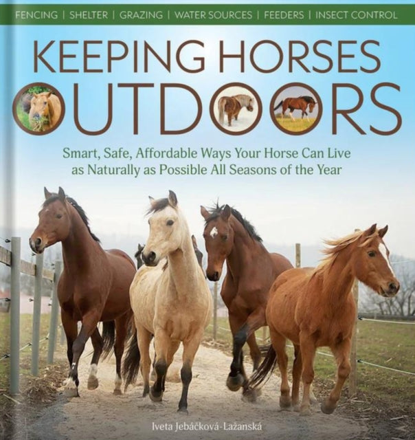 Keeping Horses Outdoors Smart, Safe, Affordable Ways Your Ho