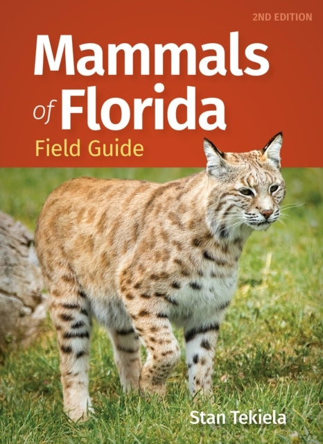 Mammals Of Florida Field Guide