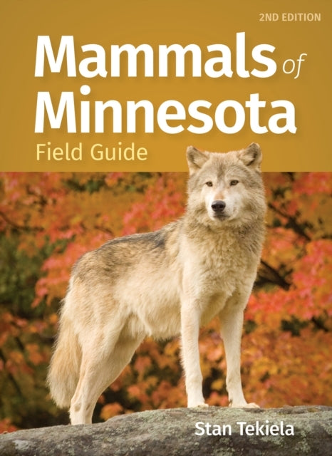 Mammals Of Minnesota Field Guide