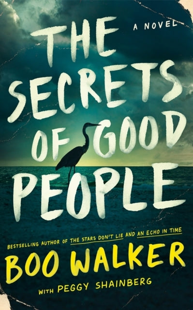 The Secrets Of Good Peoplea Novel