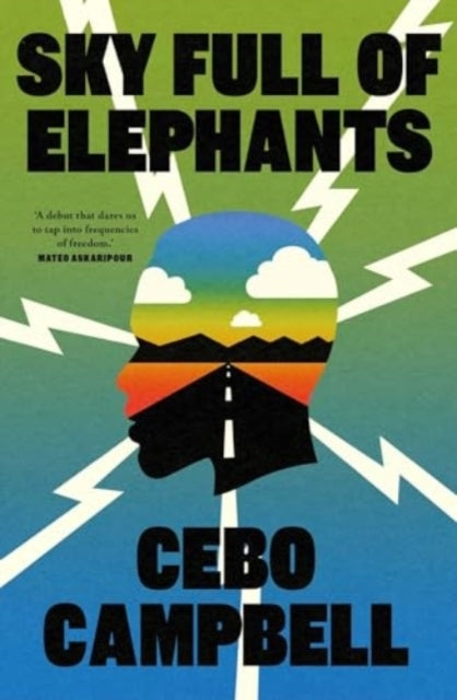 SKY FULL OF ELEPHANTSA NOVEL