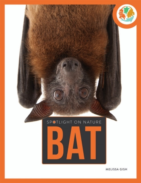 Spotlight On Nature Bat