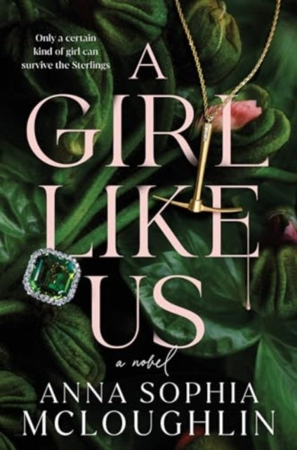 A Girl Like Usa Novel
