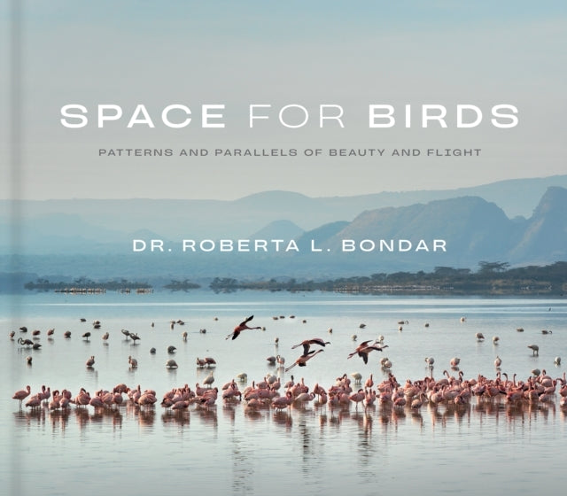 Space For Birds Patterns and Parallels of Beauty and Flight