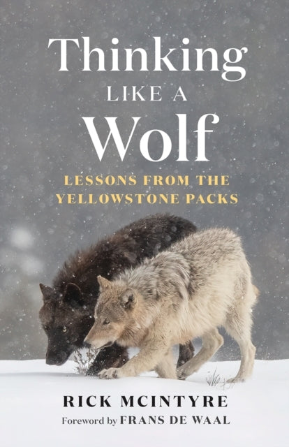 THINKING LIKE A WOLFLESSONS FROM THE YELLOWSTONE PACKS