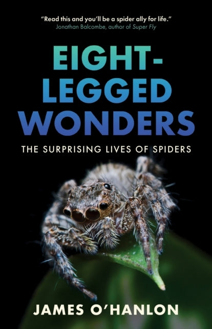 Eight-Legged Wonders The Surprising Lives Of Spiders
