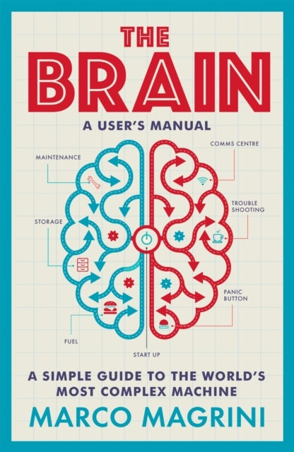 The Brain