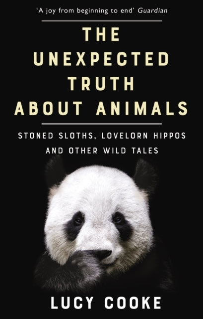 The Unexpected Truth About Animalsstoned Sloths Lovelorn Hi