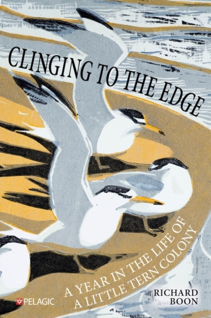Clinging To The Edge A Year In The Life of A Little Tern Col