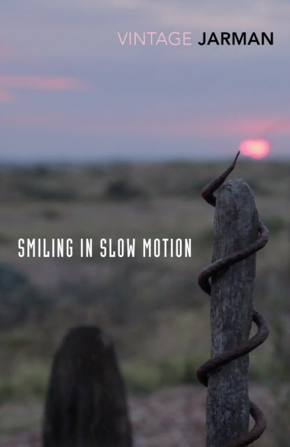 Smiling in Slow Motionjournals 19911994