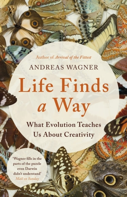 Life Finds A Waywhat Evolution Teaches Us About Creativity