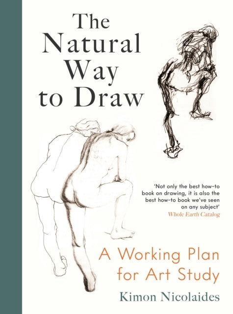 The Natural Way To Drawa Working Plan For Art Study