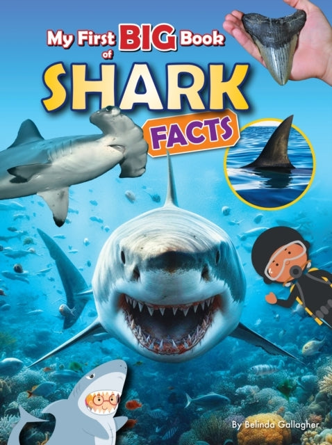 MY FIRST BIG BOOK OF SHARK FACTS