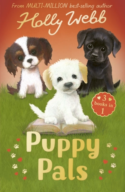 Puppy Palsthe Story Puppy The Seaside Puppy Monty The Sad