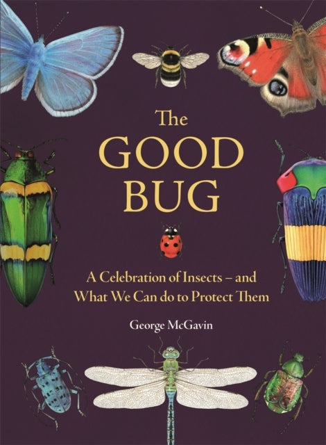The Good Buga Celebration Of Insects (And What We Can Do To