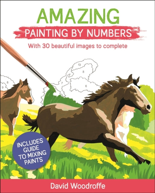 AMAZING PAINTING BY NUMBERS