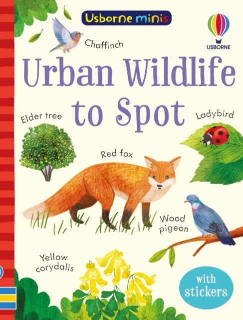 Urban Wildlife To Spot