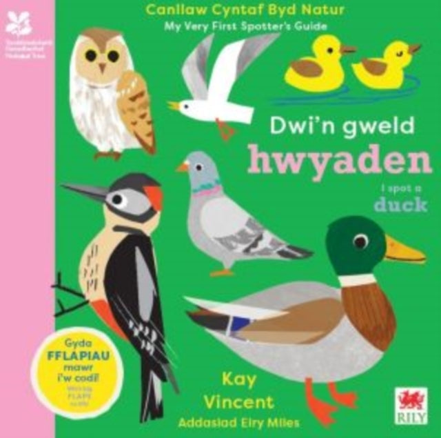 Dwi'N Gweld Hwyaden / I Spot A Duckcanllaw Cyntaf Byd Natur