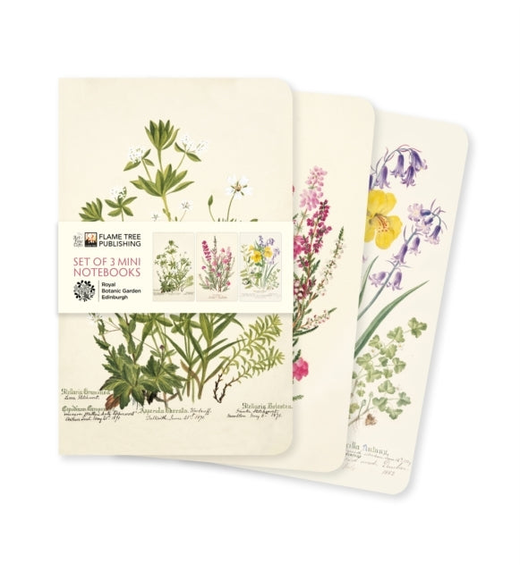 Royal Botanic Garden Edinburgh Set Of 3 Mini Notebooks