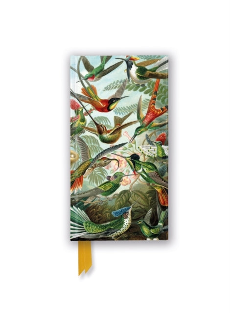 Ernst Haeckel Hummingbirds (Foiled Slimline Journal)