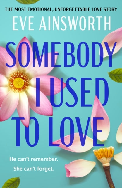 Somebody I Used To Lovethe Most Emotional Unforgettable Lov