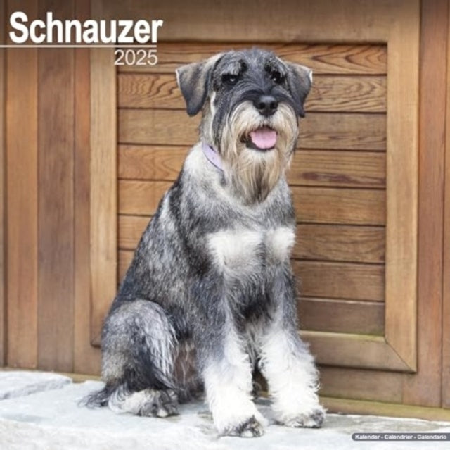 Schnauzer (Euro) Calendar 2025 Square Dog Breed Wall Calenda