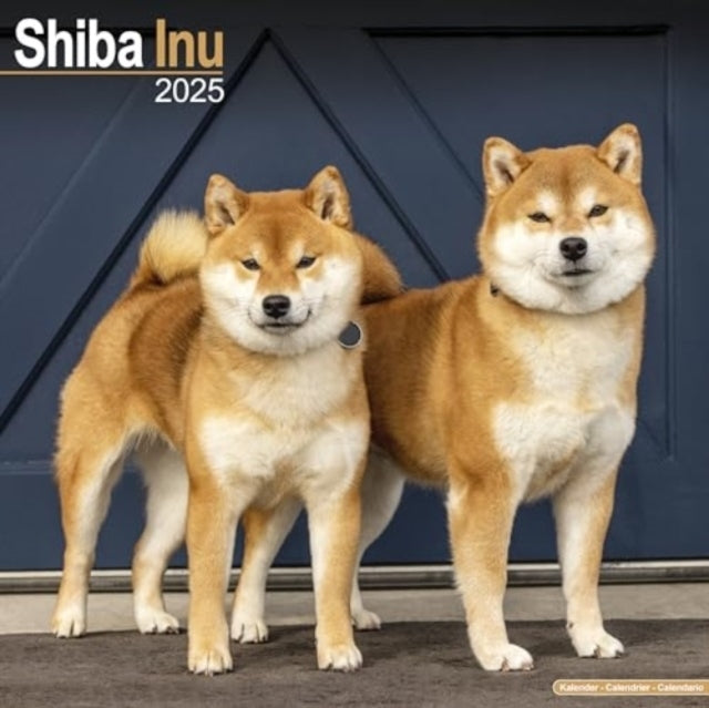 Shiba Inu Calendar 2025 Square Dog Breed Wall Calendar - 16