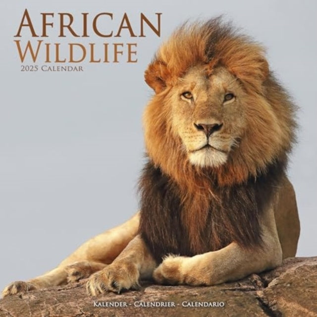African Wildlife Calendar 2025 Square Wildlife Safari Wall C