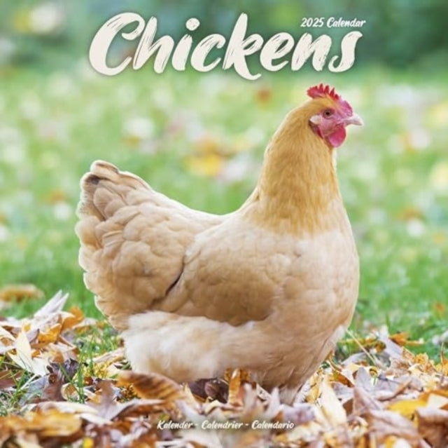 Chickens Calendar 2025 Square Farm Animals & Birds Wall Cale