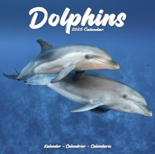 Dolphins Calendar 2025 Square Animal Wall Calendar - 16 Mont