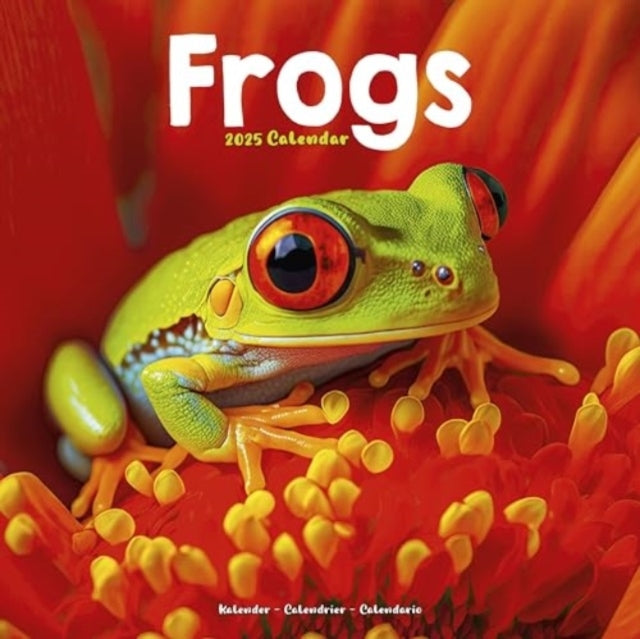 Frogs Calendar 2025 Square Animal Wall Calendar - 16 Month