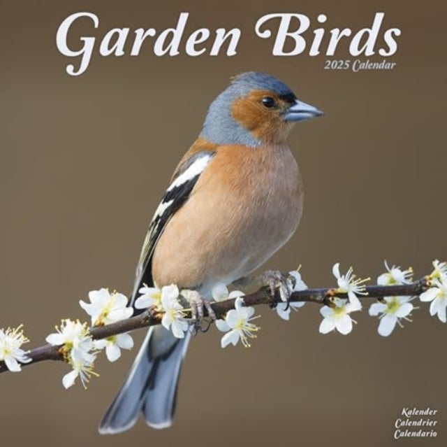 Garden Birds Calendar 2025 Square Birds Wall Calendar - 16 M