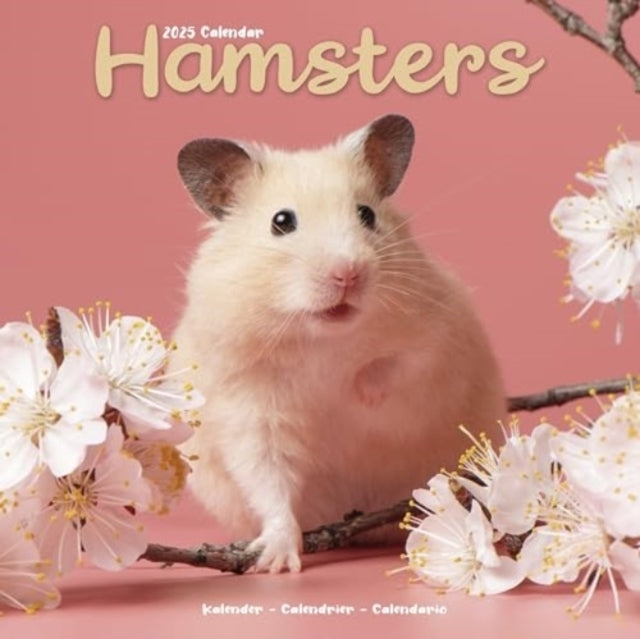 Hamsters Calendar 2025 Square Animal Wall Calendar - 16 Mont