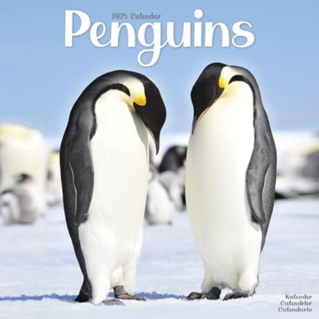 Penguins Calendar 2025 Square Animal Wall Calendar - 16 Mont