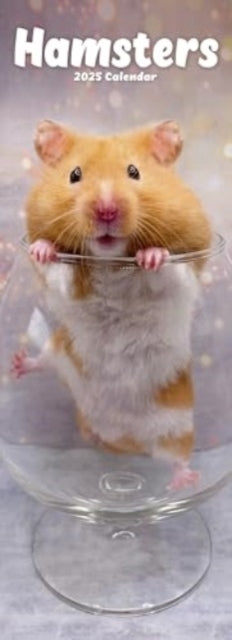 Hamsters Slim Calendar 2025 Cute Slimline Calendar - 12 Mont