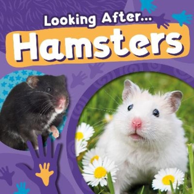 HAMSTERS