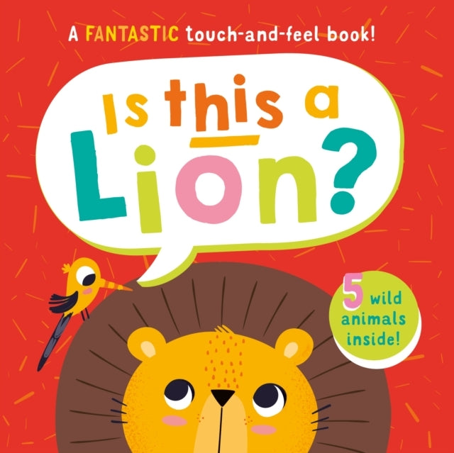 Is This A Lion?