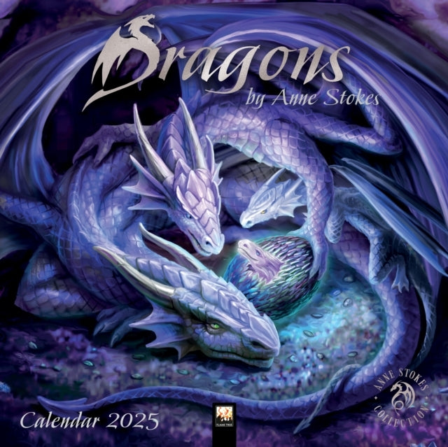 Dragons By Anne Stokes Wall Calendar 2025 (Art Calendar)