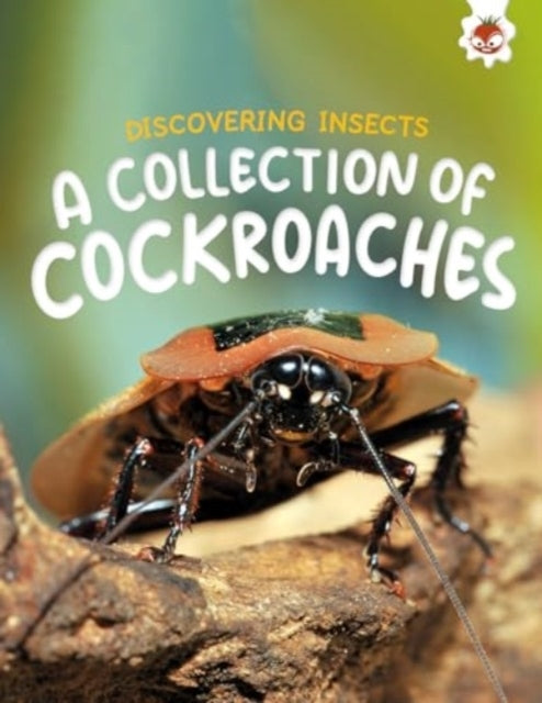 Discovering Insects A Collection Of Cockroaches