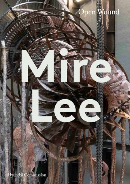Mire Lee Open Wound (Hyundai Commission)
