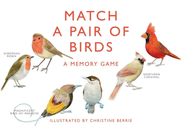Match A Pair of Birds