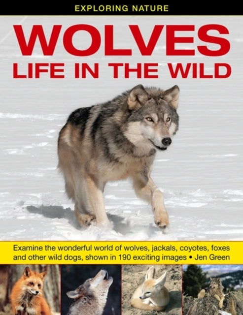 Exploring Nature Wolves - Life In The Wildexamine The Wonde