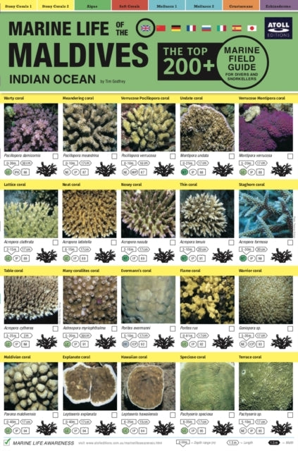 Marine Life of the Maldives