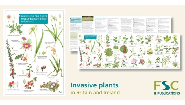 Guide To The Non-Native Invasive Plants of Britain and Irela