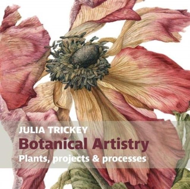 Botanical Artistryplants Projects and Processes