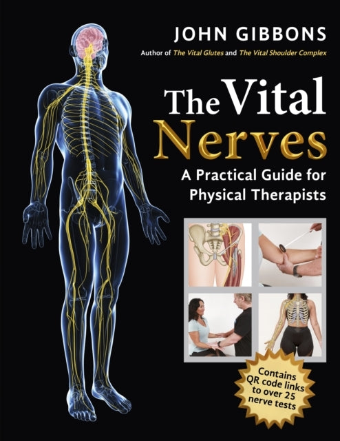 VITAL NERVES