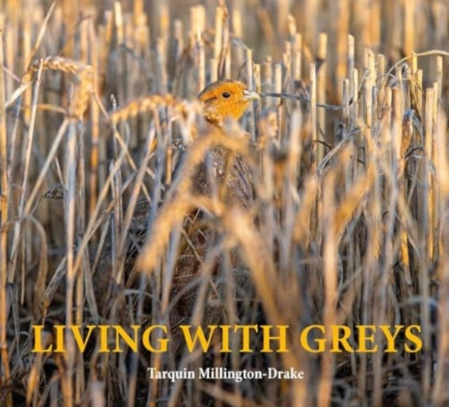 Living With Greysa Celebration of The Grey Partridge